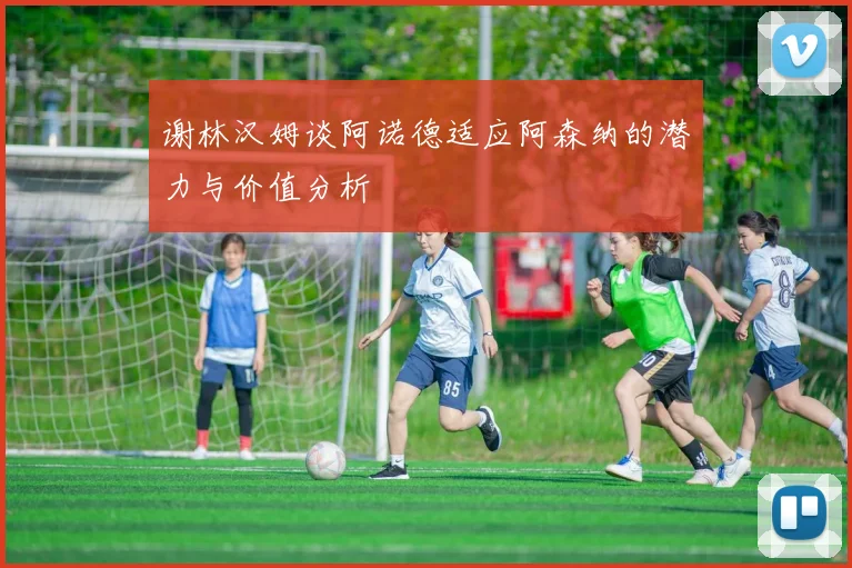 谢林汉姆谈阿诺德适应阿森纳的潜力与价值分析